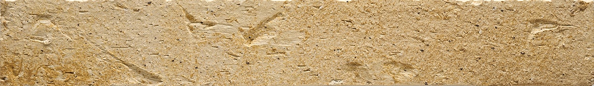 Sahara 607 (3)