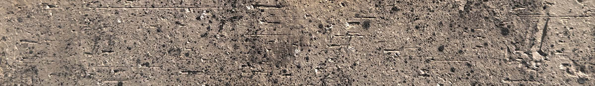 Saturne 615 (1)