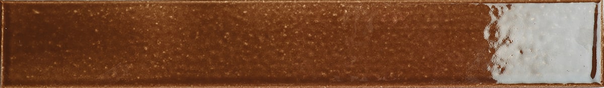 Noyer 564