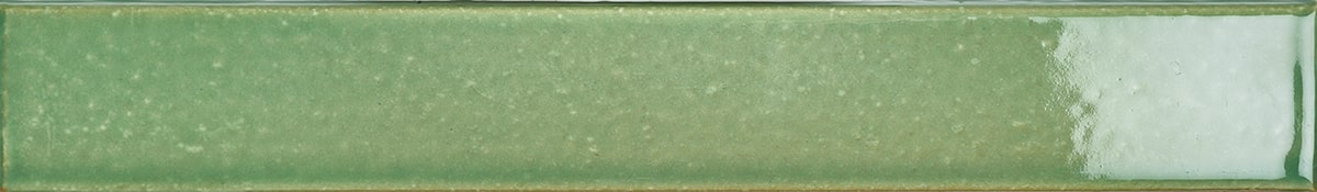 Eucalyptus 576