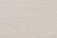 Stainless Steel Brushed