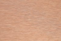WI-006 Brushed Bronze