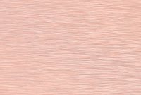 WI-008 Brushed Copper