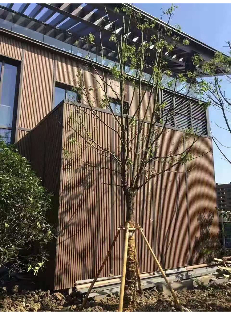 Wood panel WPC