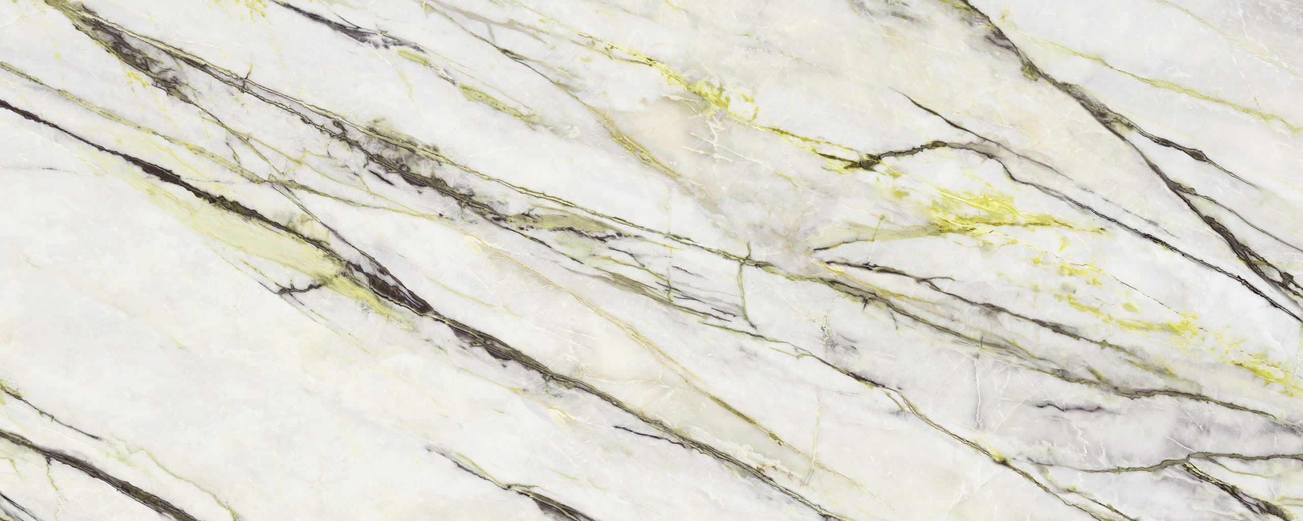 Calacatta Green Hond
