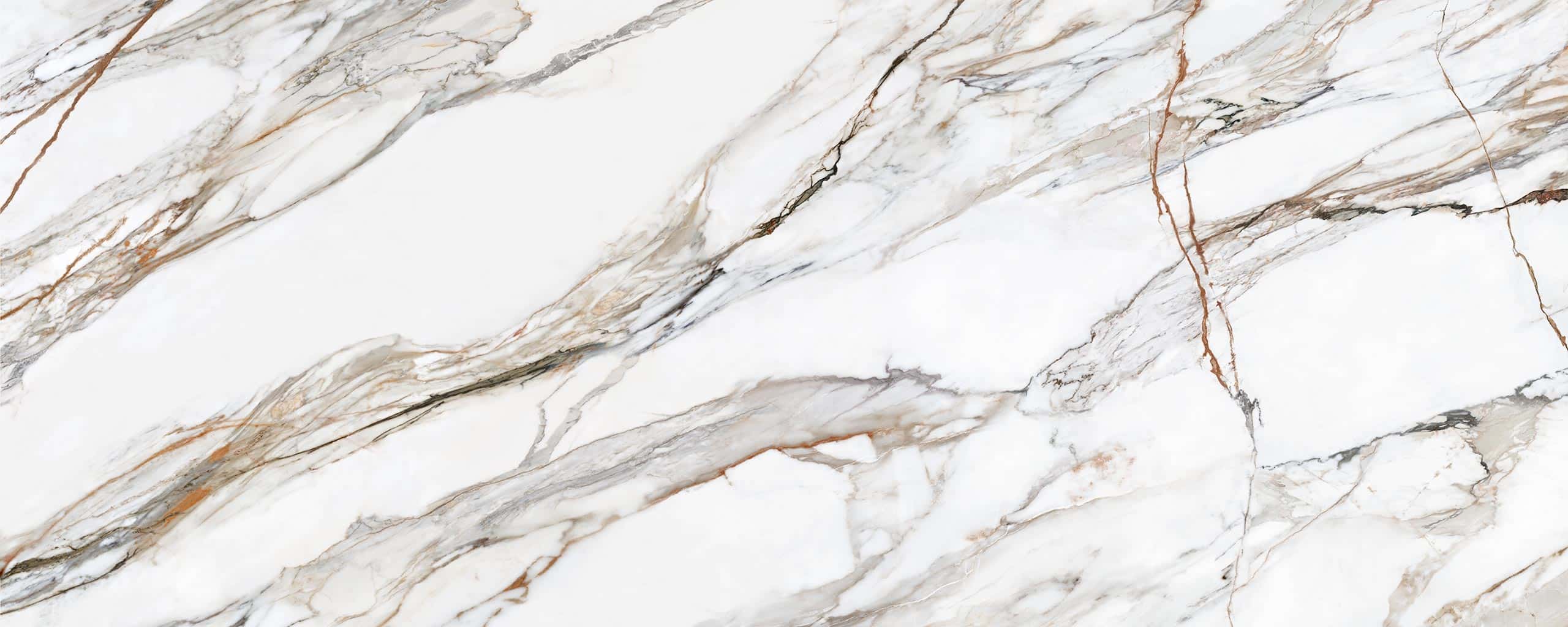 Calacatta Paonazzo Hond & Polished
